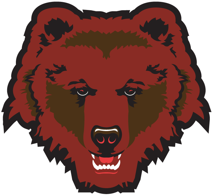 Brown Bears 1997-Pres Partial Logo diy DTF decal sticker